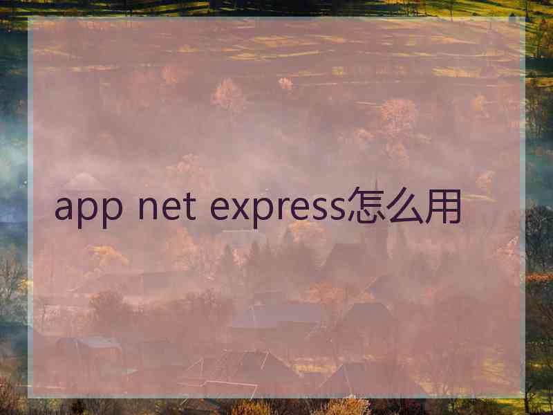 app net express怎么用