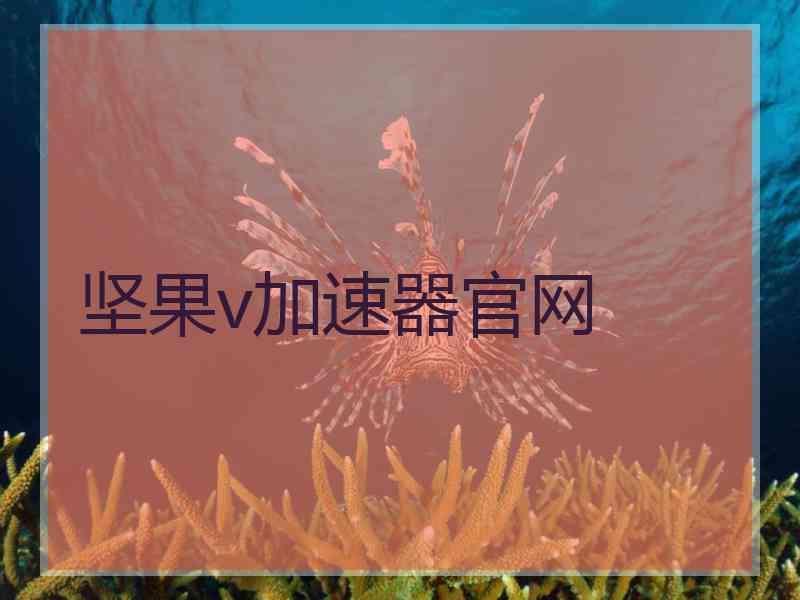 坚果v加速器官网