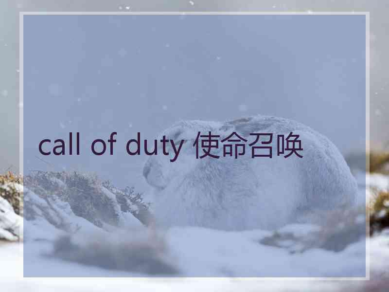 call of duty 使命召唤