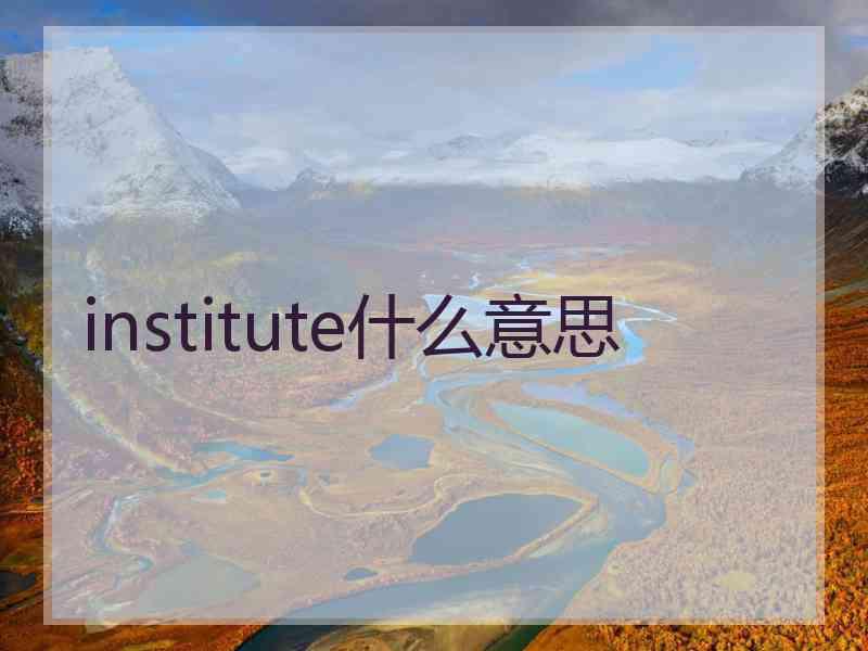 institute什么意思