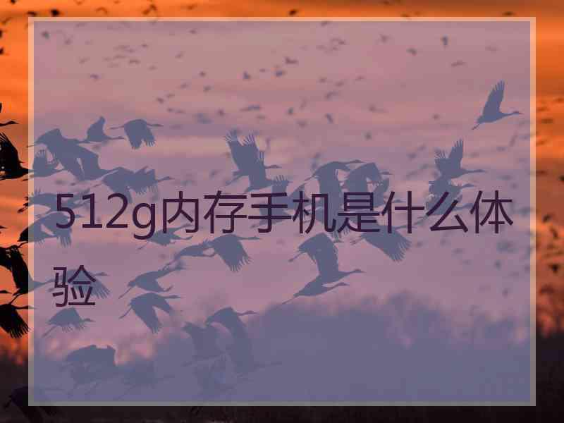 512g内存手机是什么体验