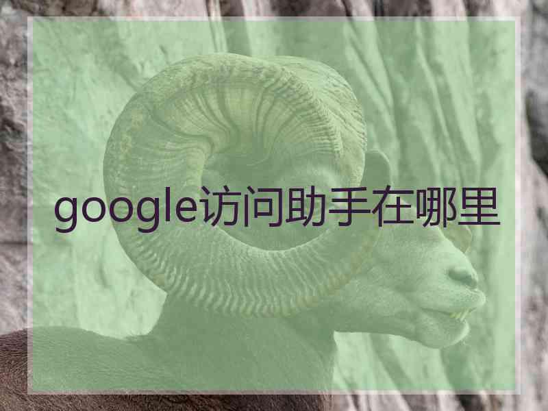 google访问助手在哪里