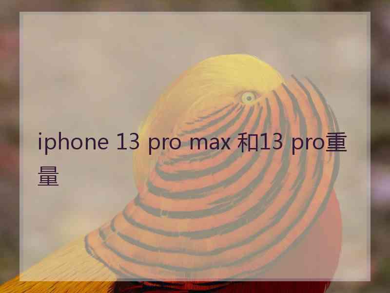 iphone 13 pro max 和13 pro重量