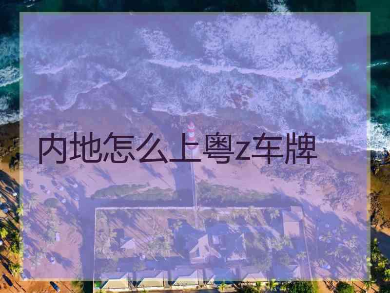 内地怎么上粤z车牌