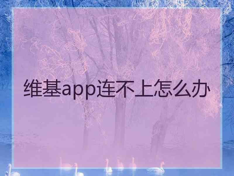 维基app连不上怎么办