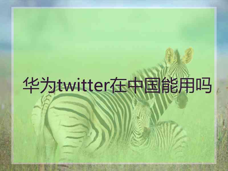 华为twitter在中国能用吗