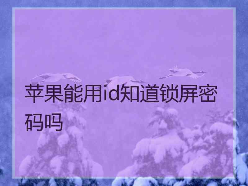 苹果能用id知道锁屏密码吗