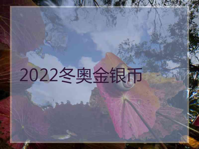 2022冬奥金银币