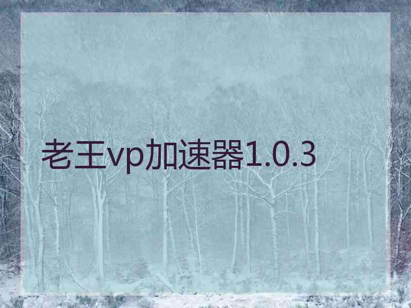 老王vp加速器1.0.3