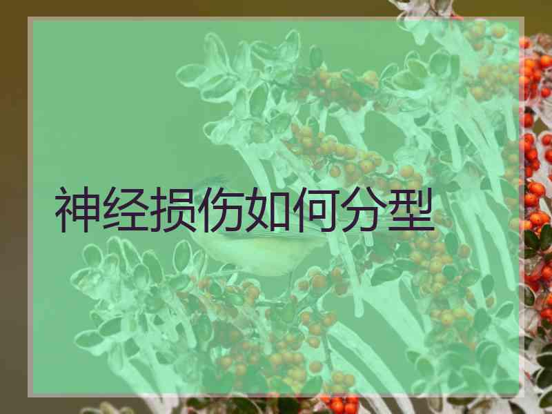 神经损伤如何分型