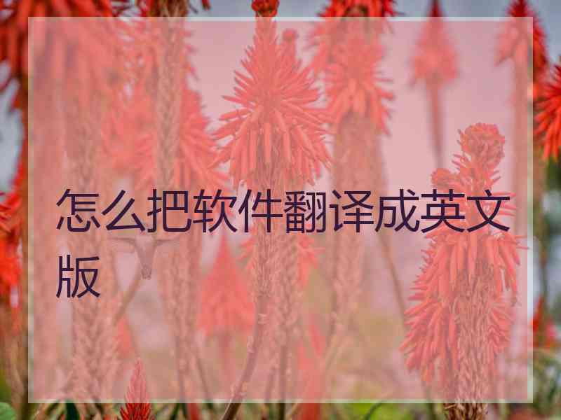 怎么把软件翻译成英文版