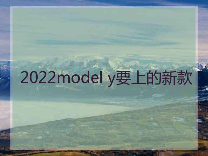 2022model y要上的新款