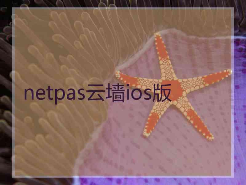 netpas云墙ios版