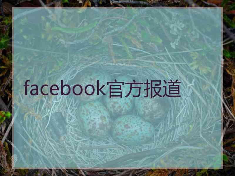 facebook官方报道