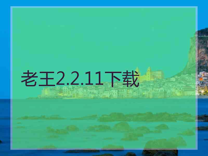 老王2.2.11下载