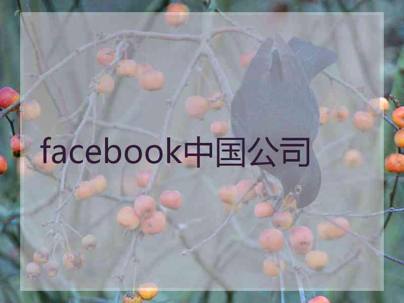 facebook中国公司