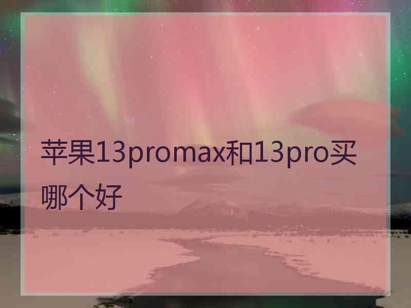 苹果13promax和13pro买哪个好