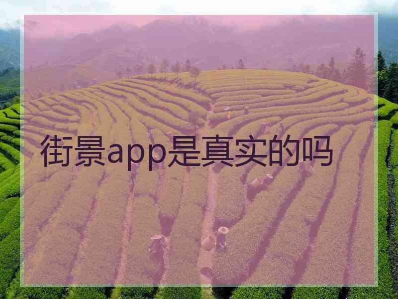 街景app是真实的吗