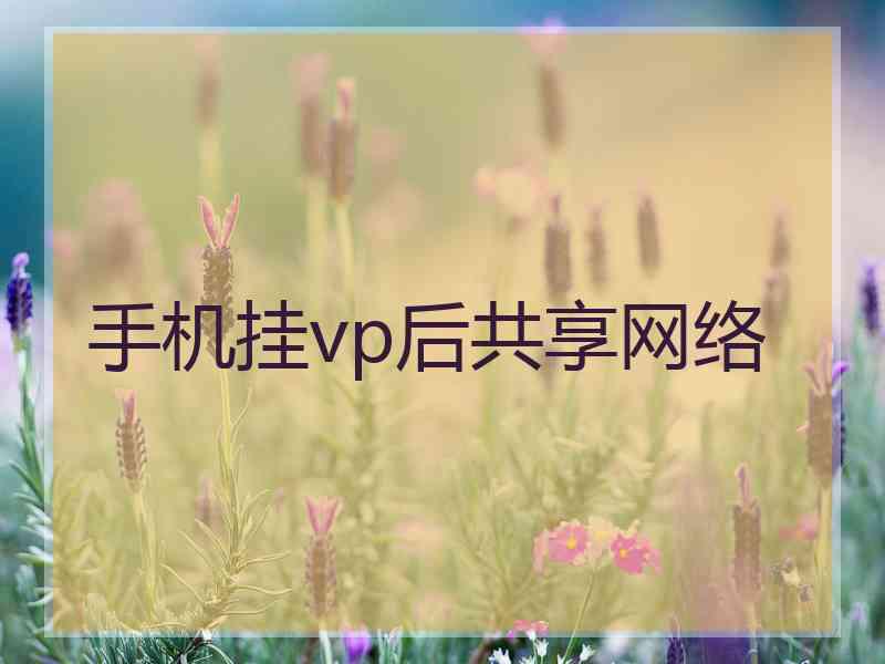 手机挂vp后共享网络