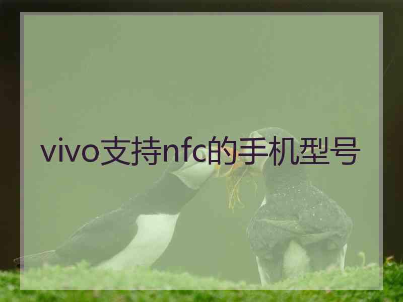 vivo支持nfc的手机型号