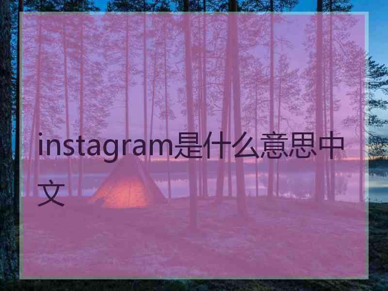 instagram是什么意思中文