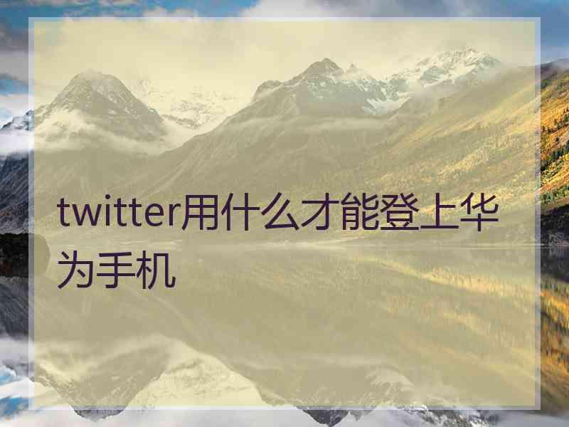 twitter用什么才能登上华为手机