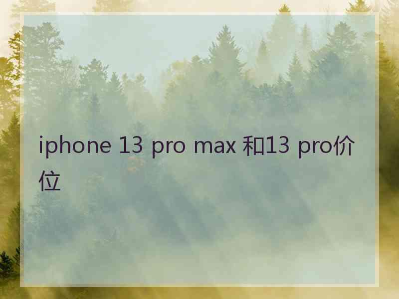 iphone 13 pro max 和13 pro价位