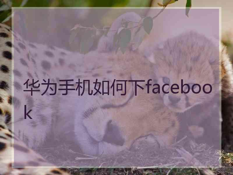 华为手机如何下facebook