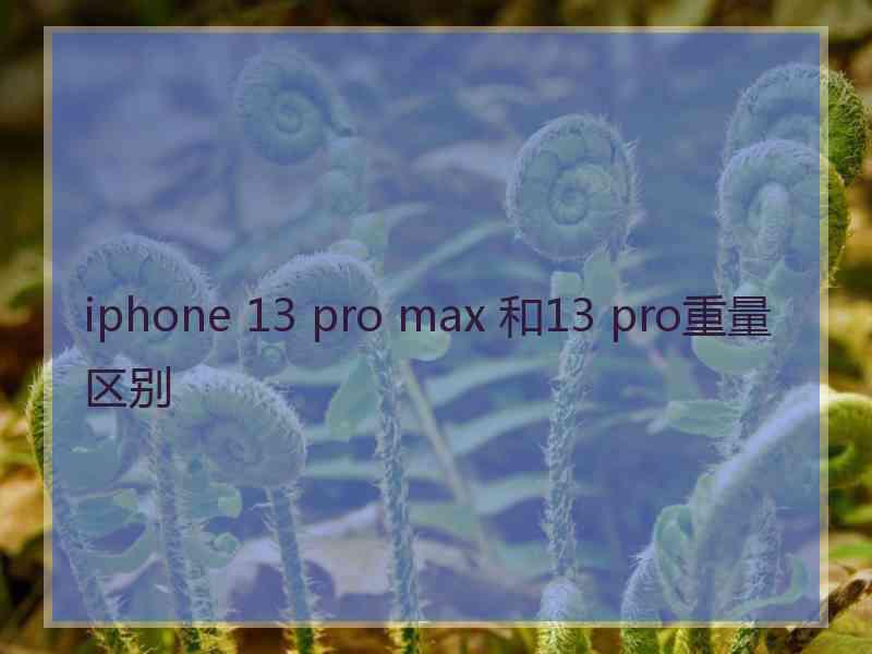 iphone 13 pro max 和13 pro重量区别