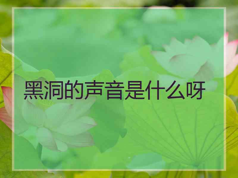 黑洞的声音是什么呀