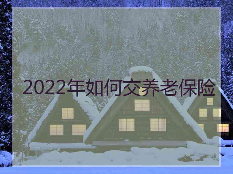 2022年如何交养老保险