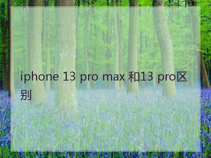 iphone 13 pro max 和13 pro区别