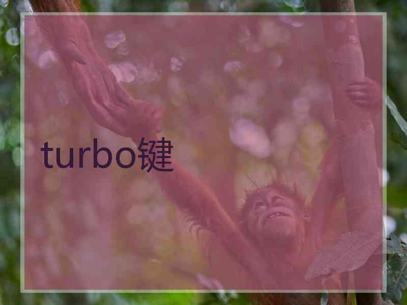 turbo键