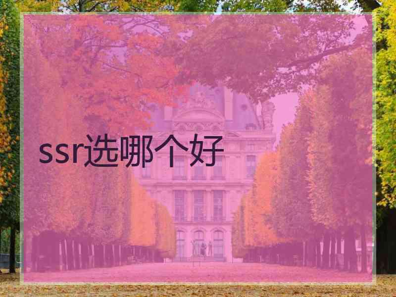 ssr选哪个好