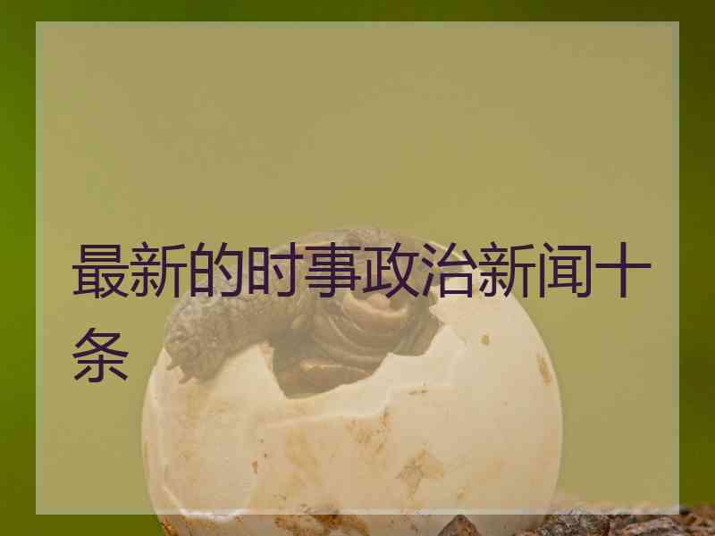 最新的时事政治新闻十条