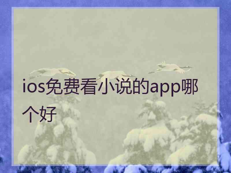 ios免费看小说的app哪个好