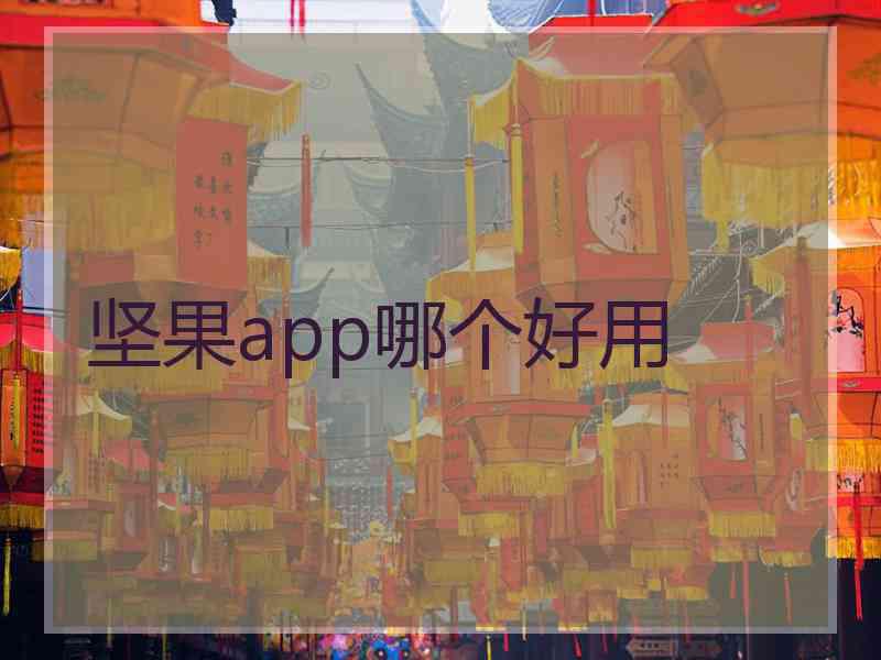 坚果app哪个好用