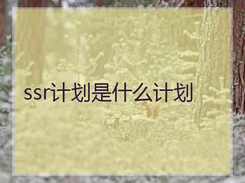 ssr计划是什么计划