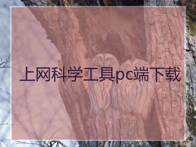 上网科学工具pc端下载