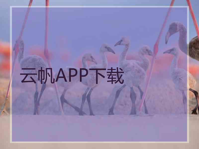 云帆APP下载