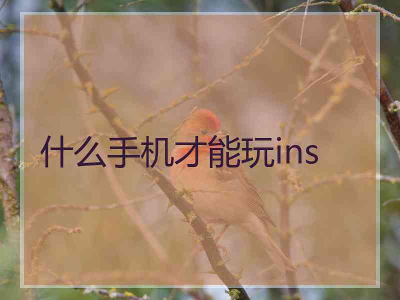 什么手机才能玩ins