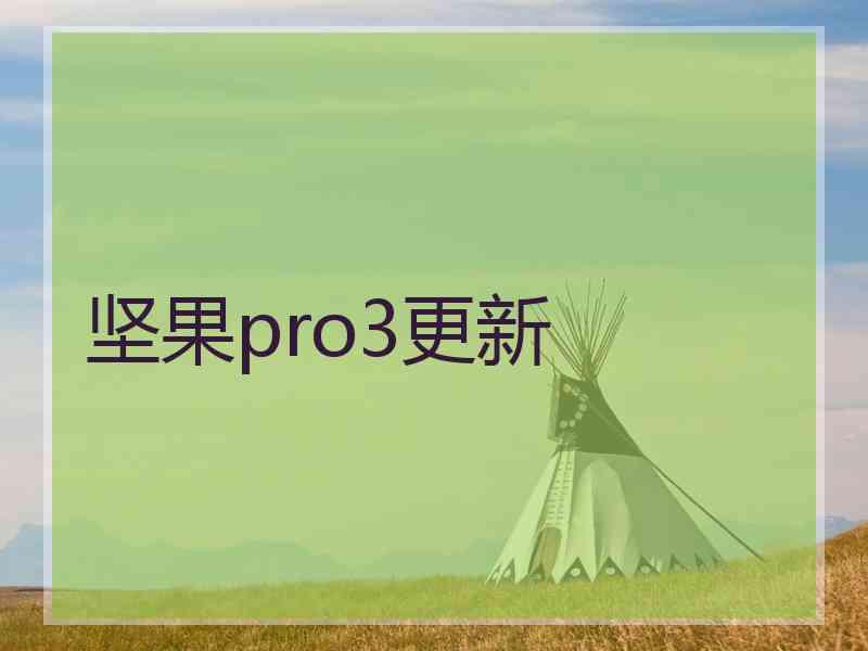 坚果pro3更新