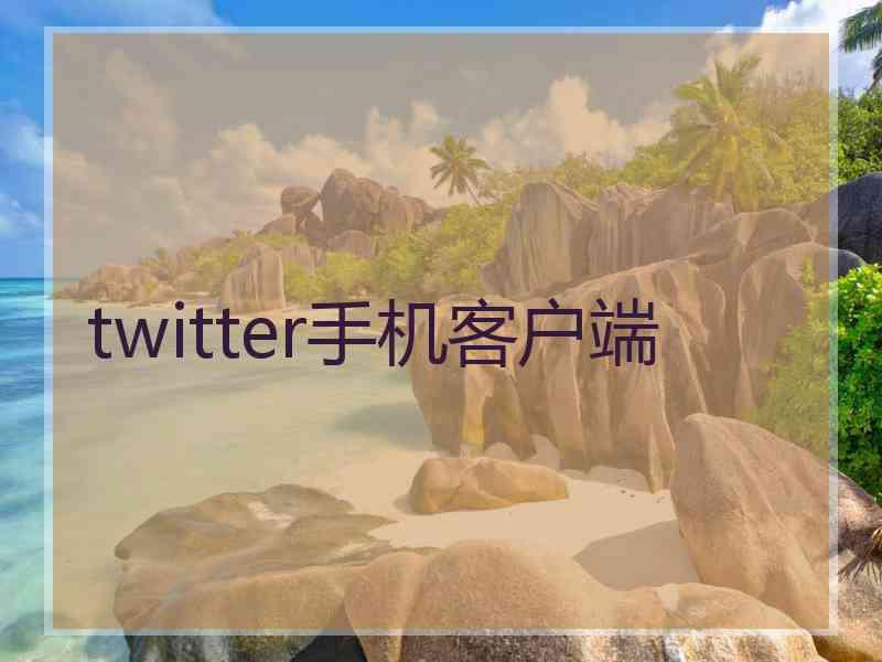 twitter手机客户端