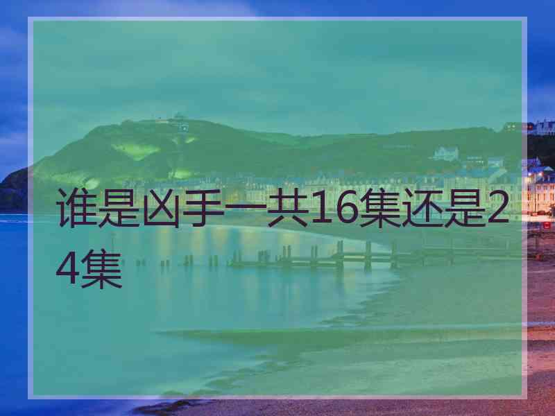 谁是凶手一共16集还是24集