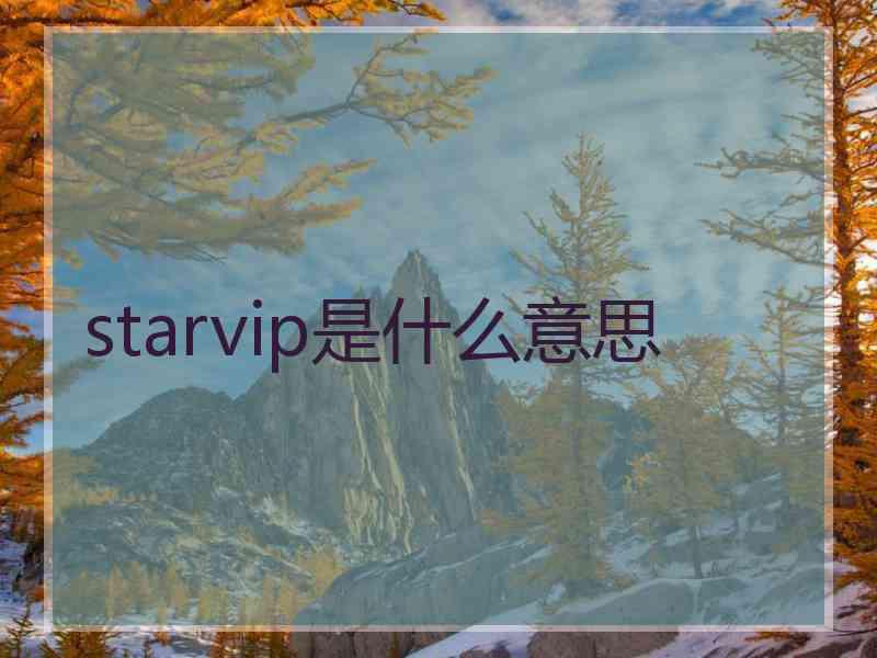 starvip是什么意思