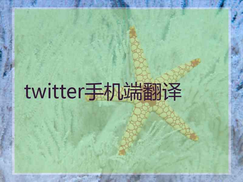 twitter手机端翻译