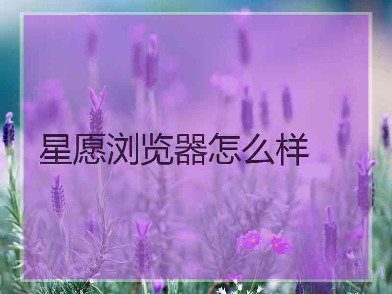 星愿浏览器怎么样