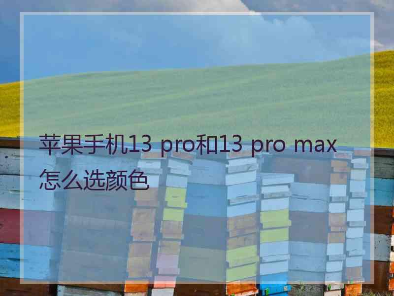 苹果手机13 pro和13 pro max怎么选颜色