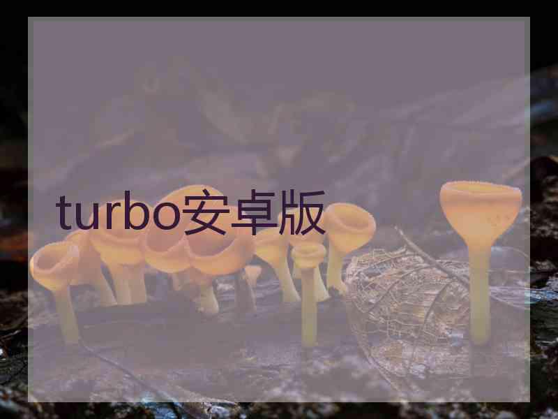 turbo安卓版