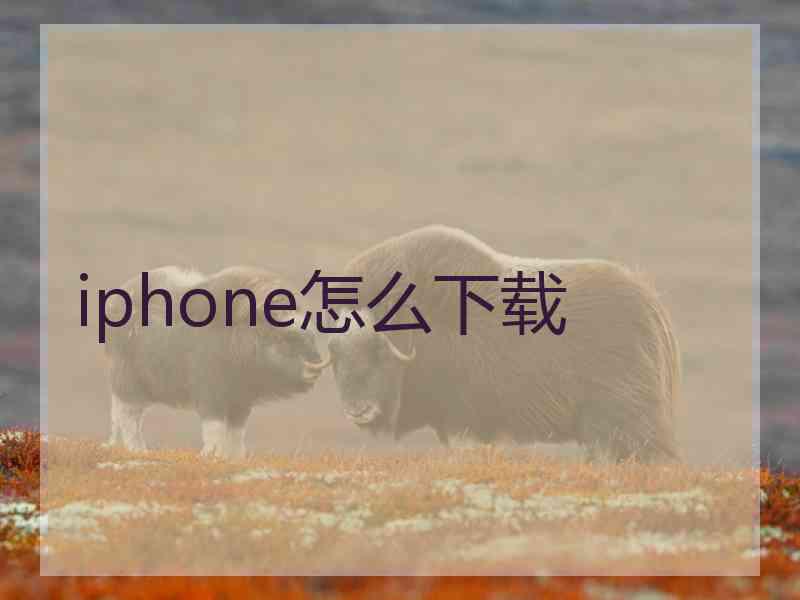 iphone怎么下载